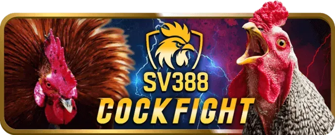 Mẹo chơi máy đánh bạc hiệu quả tại k8 game