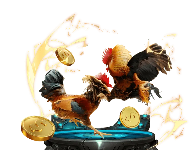 Hướng dẫn chi tiết cách cá cược đá gà tại K8 Game